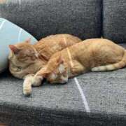 ヒメ日記 2025/03/01 10:06 投稿 吉木 久留米デリヘルセンター