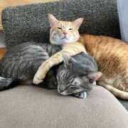 ヒメ日記 2025/04/20 10:02 投稿 吉木 久留米デリヘルセンター