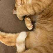 ヒメ日記 2025/05/21 09:07 投稿 吉木 久留米デリヘルセンター