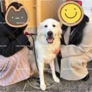 ヒメ日記 2025/01/11 19:15 投稿 羽衣石　えま ノーパンパンスト スケベなOL梅田・兎我野店