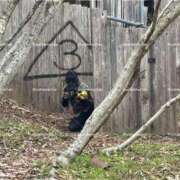 ヒメ日記 2026/03/25 20:15 投稿 羽衣石　えま ノーパンパンスト スケベなOL梅田・兎我野店