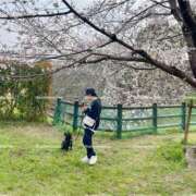 ヒメ日記 2026/04/15 20:15 投稿 羽衣石　えま ノーパンパンスト スケベなOL梅田・兎我野店