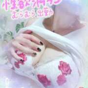 ヒメ日記 2025/04/26 19:03 投稿 しずく ルージュ(会津若松)