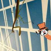 ヒメ日記 2025/09/16 16:12 投稿 しずく ルージュ(会津若松)