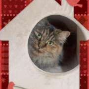 ヒメ日記 2025/11/11 15:48 投稿 しずく ルージュ(会津若松)