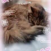 ヒメ日記 2026/01/04 18:45 投稿 しずく ルージュ(会津若松)