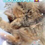 ヒメ日記 2026/04/20 01:33 投稿 しずく ルージュ(会津若松)