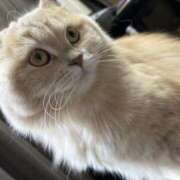 ヒメ日記 2024/12/21 21:52 投稿 リップル Cawaiiハイ！スクールリターンズ