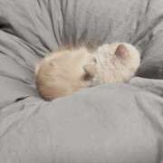 ヒメ日記 2025/03/09 17:13 投稿 リップル Cawaiiハイ！スクールリターンズ