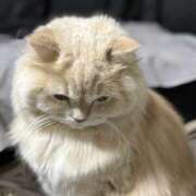 ヒメ日記 2025/03/23 12:52 投稿 リップル Cawaiiハイ！スクールリターンズ