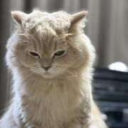 ヒメ日記 2025/06/02 13:50 投稿 リップル Cawaiiハイ！スクールリターンズ