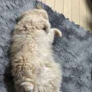 ヒメ日記 2025/08/10 09:33 投稿 リップル Cawaiiハイ！スクールリターンズ