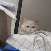 ヒメ日記 2025/08/25 12:25 投稿 リップル Cawaiiハイ！スクールリターンズ