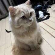 ヒメ日記 2025/09/13 20:00 投稿 リップル Cawaiiハイ！スクールリターンズ