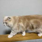 ヒメ日記 2025/10/14 13:36 投稿 リップル Cawaiiハイ！スクールリターンズ