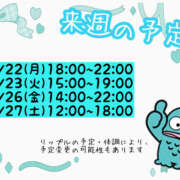 リップル 来週の予定🐈🐾 Cawaiiハイ！スクールリターンズ