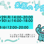 リップル 来週の予定🎍 Cawaiiハイ！スクールリターンズ