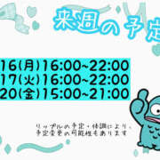 リップル 来週の予定🐱 Cawaiiハイ！スクールリターンズ