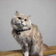 ヒメ日記 2026/03/05 00:27 投稿 リップル Cawaiiハイ！スクールリターンズ