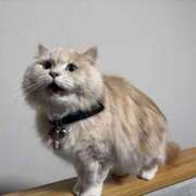 ヒメ日記 2026/03/09 22:39 投稿 リップル Cawaiiハイ！スクールリターンズ