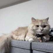 ヒメ日記 2026/05/12 13:31 投稿 リップル Cawaiiハイ！スクールリターンズ