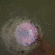 ヒメ日記 2026/04/07 21:00 投稿 水城あやめ 五十路マダム 新潟店(カサブランカグループ)