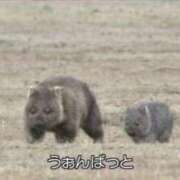 ヒメ日記 2025/01/23 07:52 投稿 しおり ウルトラグレイス24