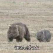 ヒメ日記 2025/07/29 22:59 投稿 しおり ウルトラグレイス24