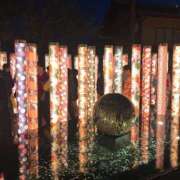 ヒメ日記 2025/10/18 08:06 投稿 しおり ウルトラグレイス24