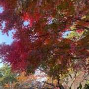 ヒメ日記 2025/11/30 02:06 投稿 しおり ウルトラグレイス24