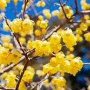 ヒメ日記 2026/01/07 12:47 投稿 優（ゆう） ROYAL FACE FUKUOKA