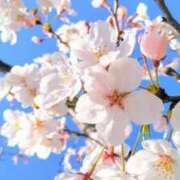 ヒメ日記 2026/04/22 10:14 投稿 優（ゆう） ROYAL FACE FUKUOKA