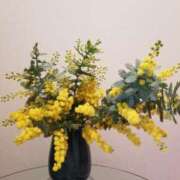 ヒメ日記 2024/03/12 20:18 投稿 花宮 いろか Men's relaxation VEGA