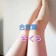 花宮 いろか 合言葉♡ Men's relaxation VEGA