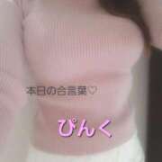 ヒメ日記 2026/04/30 13:46 投稿 花宮 いろか Men's relaxation VEGA