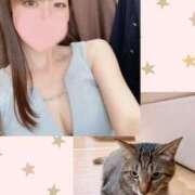 ヒメ日記 2025/04/11 11:52 投稿 しずく HAND BITCH(ハンドビッチ)