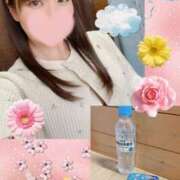 ヒメ日記 2025/04/12 18:52 投稿 しずく HAND BITCH(ハンドビッチ)