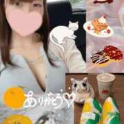 ヒメ日記 2025/06/26 20:52 投稿 しずく HAND BITCH(ハンドビッチ)