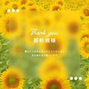 ヒメ日記 2026/01/06 08:14 投稿 美音（みお） ROYAL FACE FUKUOKA