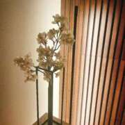 美音（みお） 🌸 ROYAL FACE FUKUOKA