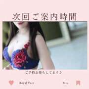 ヒメ日記 2026/03/30 21:14 投稿 美音（みお） ROYAL FACE FUKUOKA