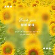 ヒメ日記 2026/03/31 23:22 投稿 美音（みお） ROYAL FACE FUKUOKA