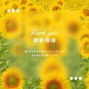 ヒメ日記 2026/08/31 08:14 投稿 美音（みお） ROYAL FACE FUKUOKA
