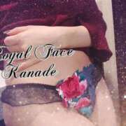 ヒメ日記 2025/11/27 12:34 投稿 花奏（かなで） ROYAL FACE FUKUOKA