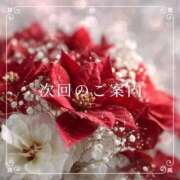 ヒメ日記 2026/01/11 15:54 投稿 花奏（かなで） ROYAL FACE FUKUOKA