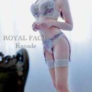 ヒメ日記 2026/05/19 20:34 投稿 花奏（かなで） ROYAL FACE FUKUOKA