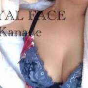 ヒメ日記 2026/05/23 12:19 投稿 花奏（かなで） ROYAL FACE FUKUOKA
