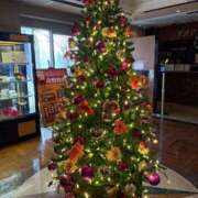 ヒメ日記 2025/11/11 19:14 投稿 桜咲　杏樹 ROYAL FACE FUKUOKA