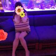 ヒメ日記 2026/01/31 08:54 投稿 桜咲　杏樹 ROYAL FACE FUKUOKA