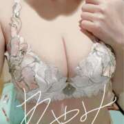 ヒメ日記 2025/04/02 08:42 投稿 音瀬　綾美 プルプル人妻専門店